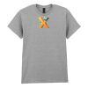 Adult t-shirt Heavy Cotton Thumbnail
